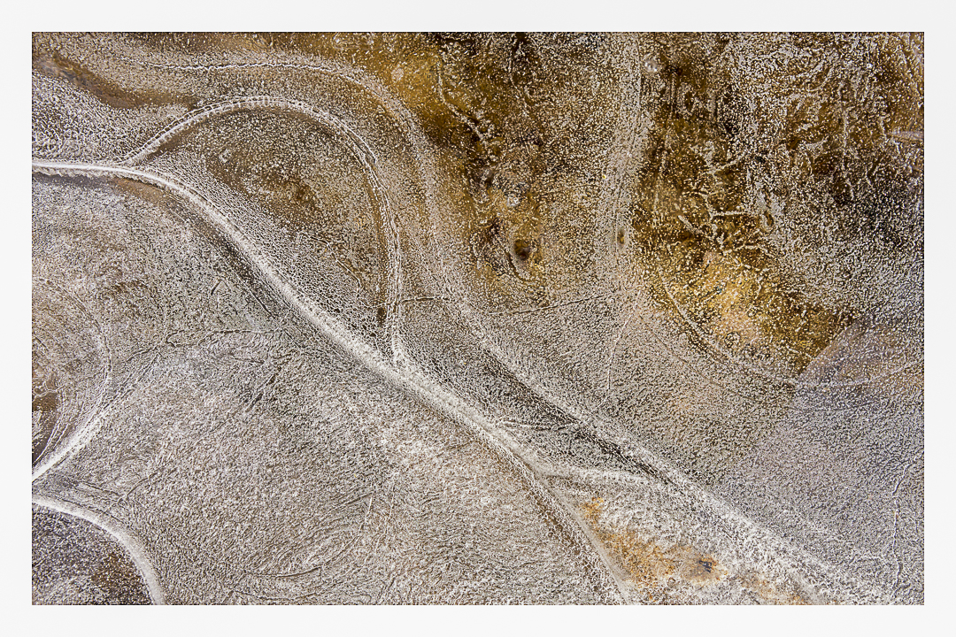 Earth's Floe